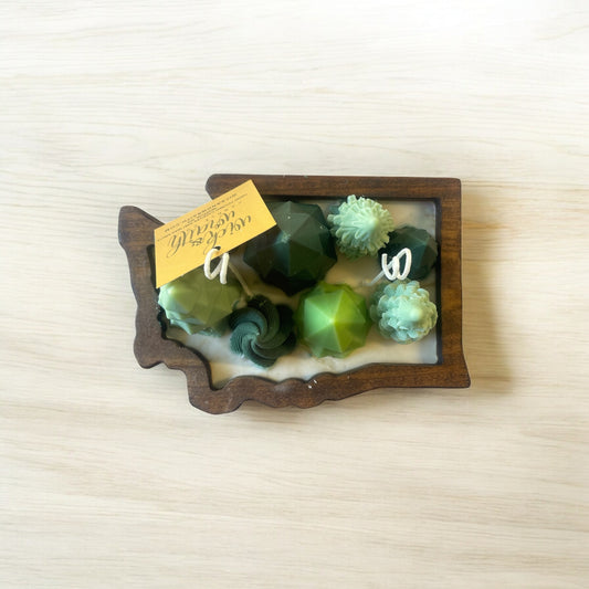 Washington Evergreen Dough Bowl Candle